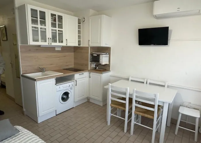 公寓 593 4 Pers Port Soleil Vue Piscine 阿格德